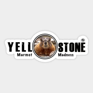 Marmot Madness, Yellowstone National Park Sticker